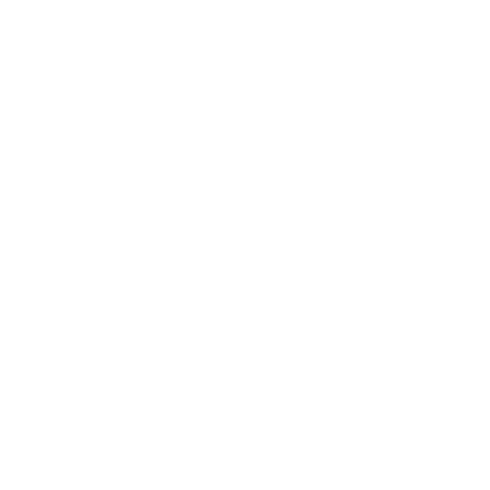 Stark Raven Logo